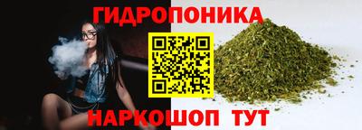 крисы Долгопрудный