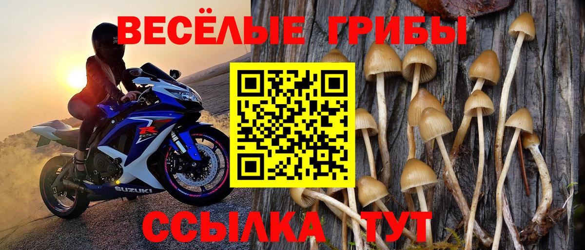 Псилоцибиновые грибы Magic Shrooms Гуково