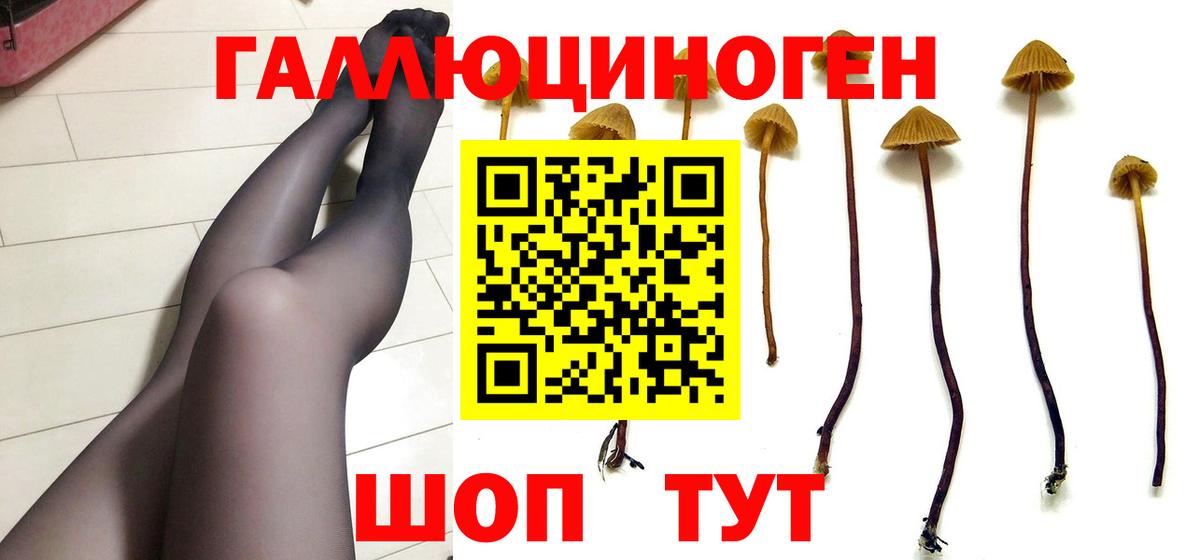 Гуково  Псилоцибиновые грибы Psilocybe  купить наркотик  Псилоцибиновые грибы Psilocybe  Вход с VPN 